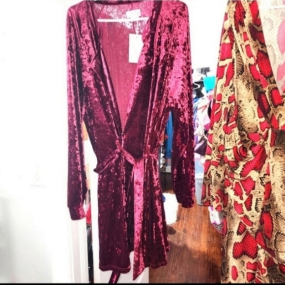 🍂🍁NWT IN THE STYLE red velvet dress size 20 US - Picture 2 of 5
